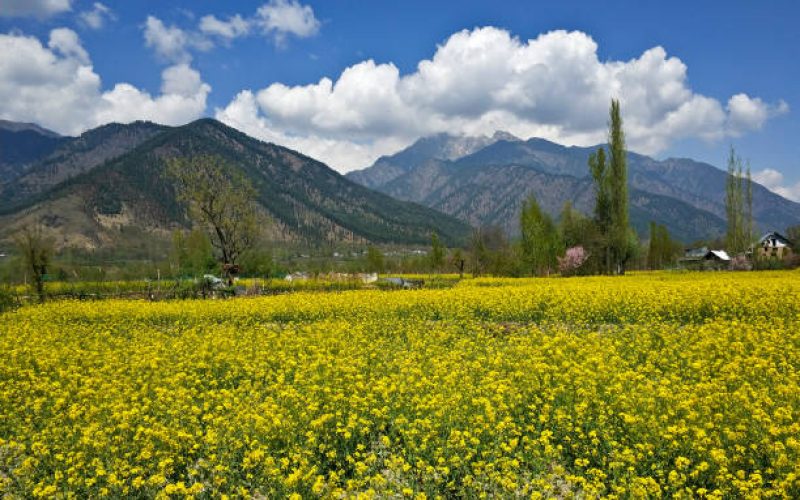 sonmarg